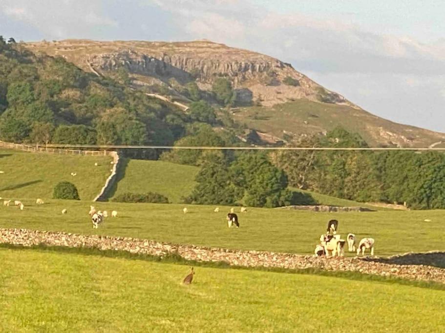 Charming Dog-Friendly Yorkshire Dales Cottage, Austwick Exterior photo